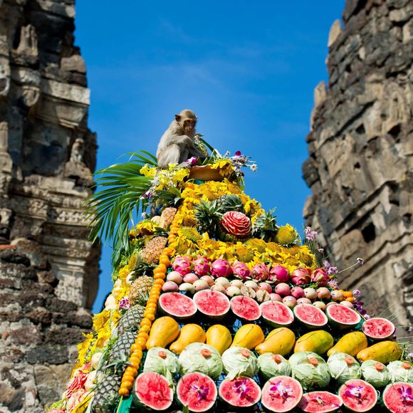 MonkeyBuffet festival
