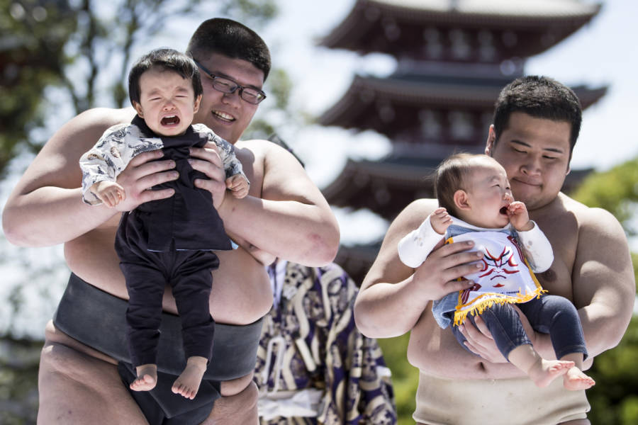 Naki Sumo in Japan