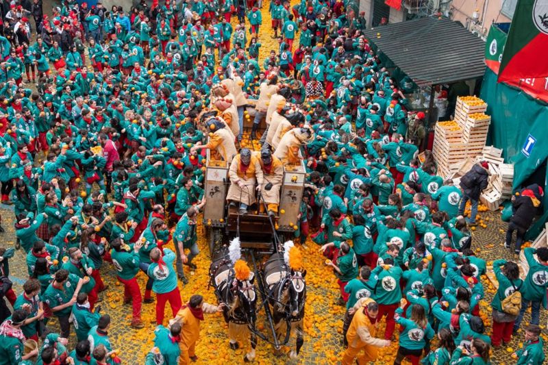 Battle of oranges