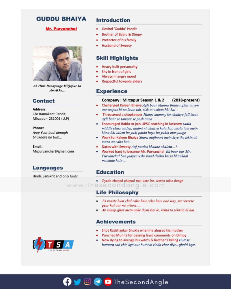 Guddu bhaiya resume The Second Angle