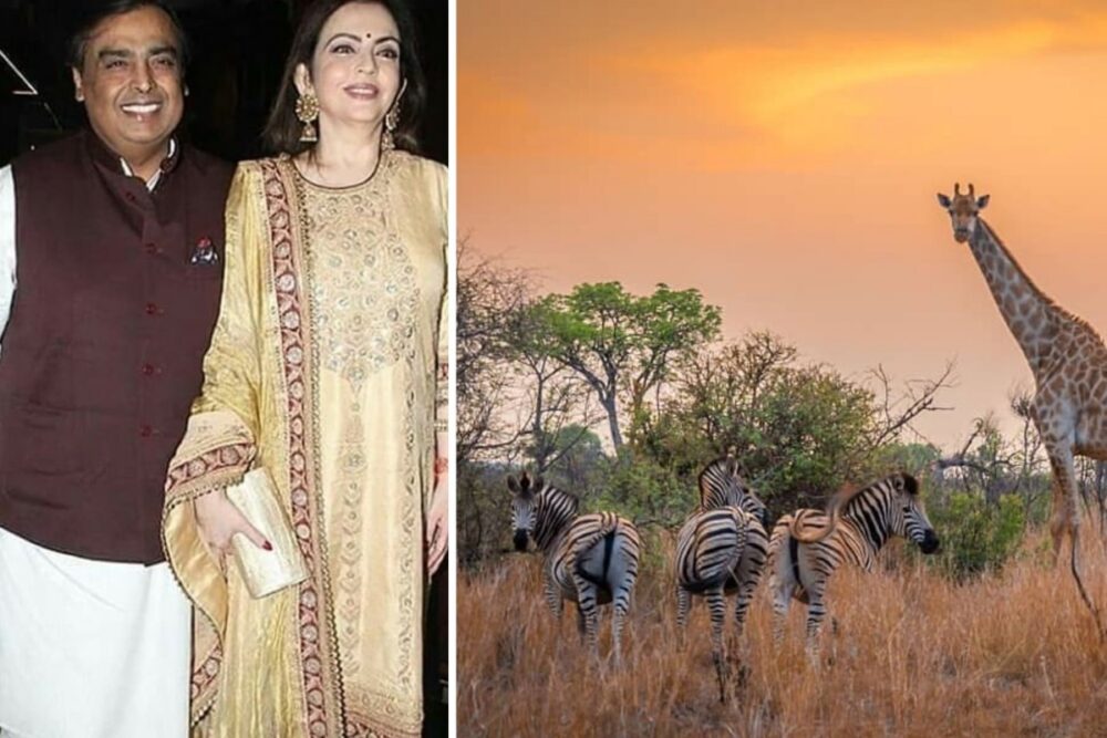 Mukesh Ambani Vacation South Africa