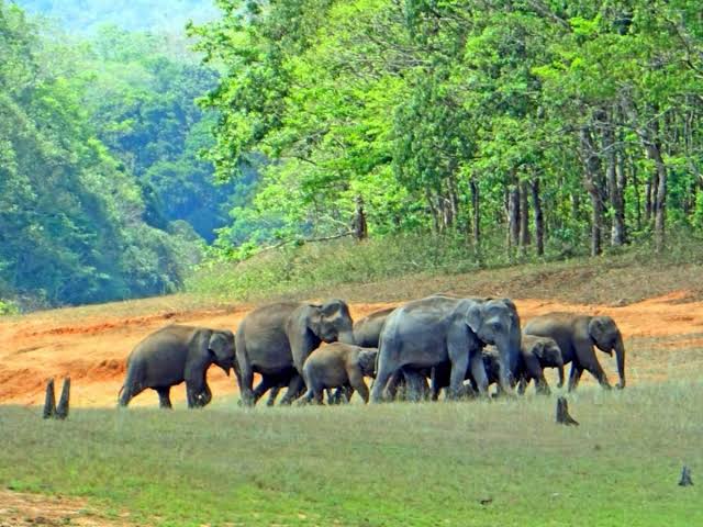 Ecotourism