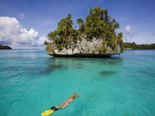 Ecotourism