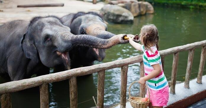 Ecotourism