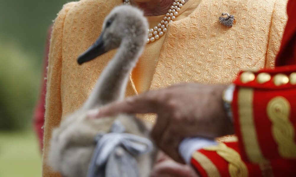 15 Interesting Royal Perks That Only The Queen of England Elizabeth II Enjoys