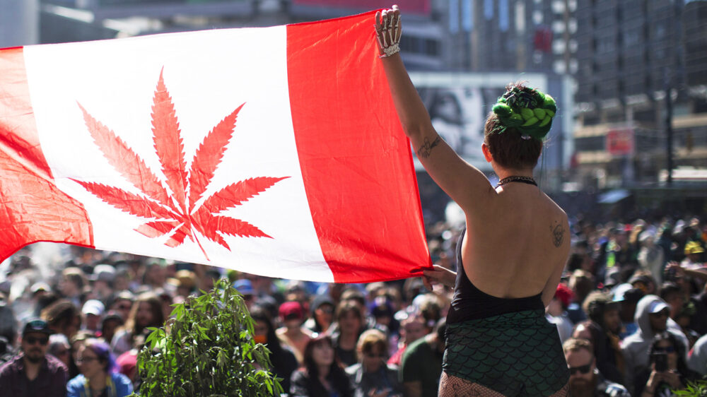 Canada marijuana 02 8e97f612 3800 4b02 b7d8 388c2d6cf73d