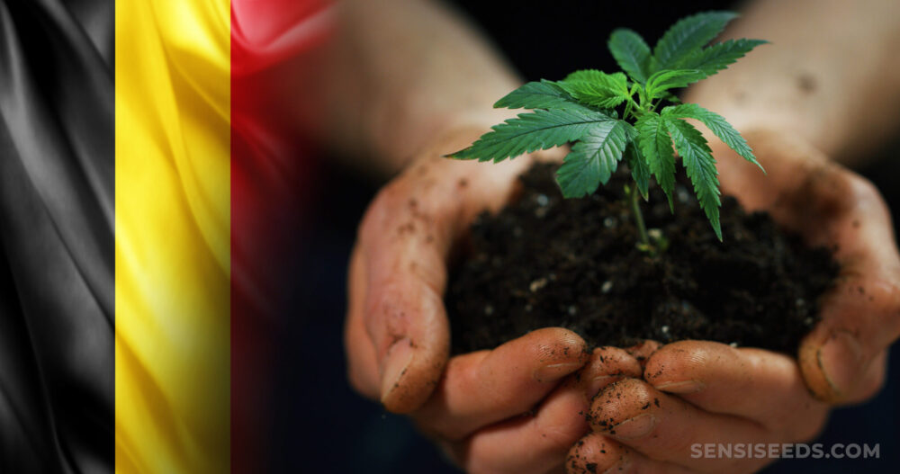 12 Countries Where You Can Smoke Weed