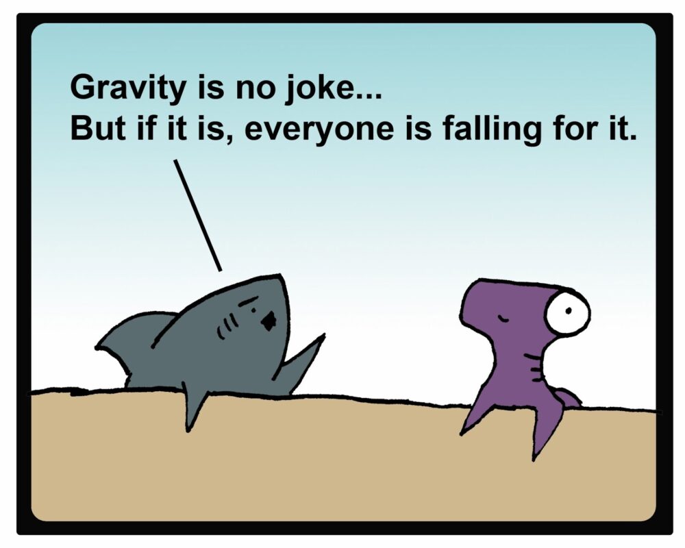 Gravity