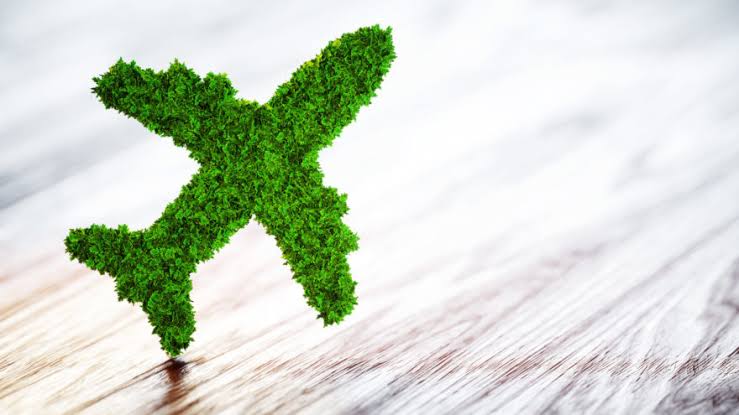 Regenerative Travel: Where Vacation Meets Value
