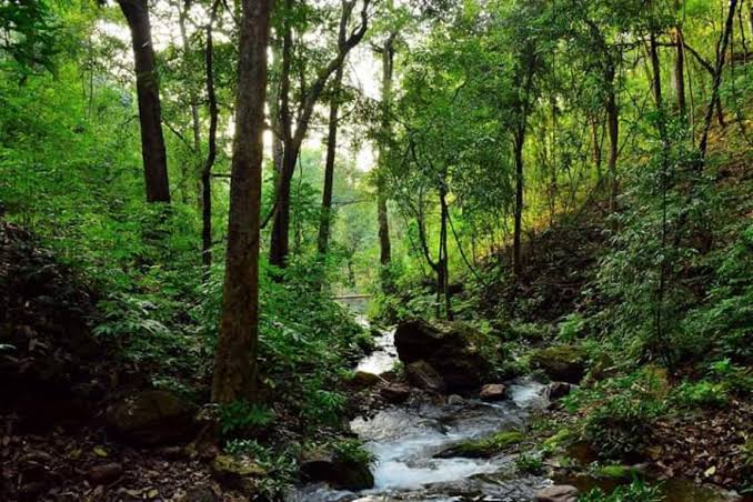 Jharkhand Foundation Day: Land Of Bushes Celebrates It’s 20th Anniversary