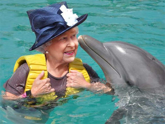 Keeper of all swans and dolphins in the uk