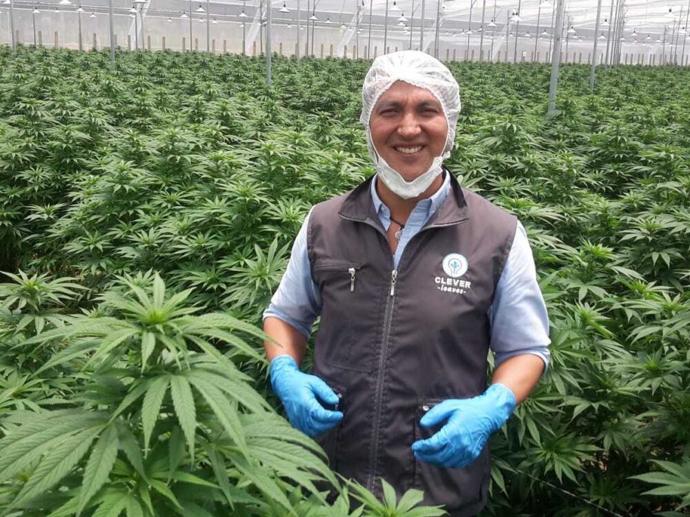 12 Countries Where You Can Smoke Weed joint
