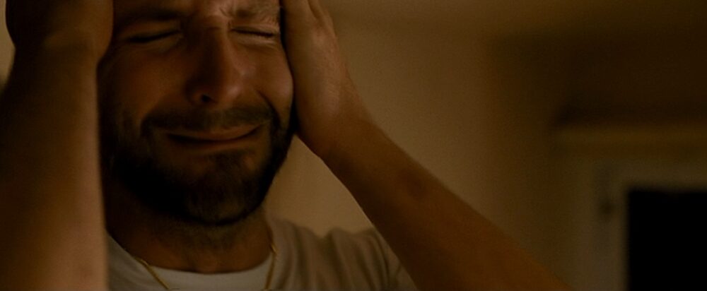2012 Silver Linings Playbook 04