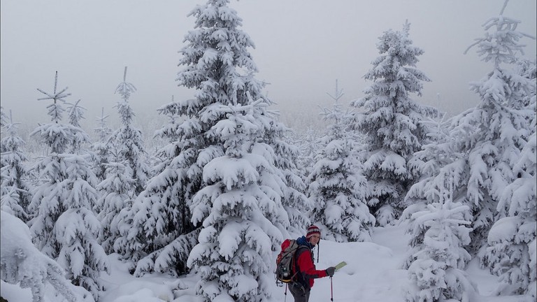 From One Part Of The Corner To Other, Look At How The World Is Covered Under The Blanket Of Snow