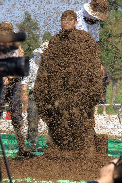 7 Weirdest World Records Ever Set