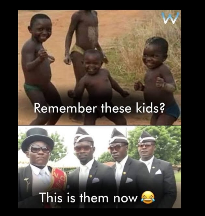 2020 Popular Memes Collection