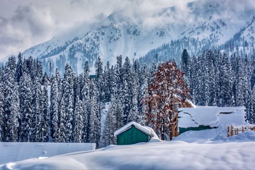 From One Part Of The Corner To Other, Look At How The World Is Covered Under The Blanket Of Snow