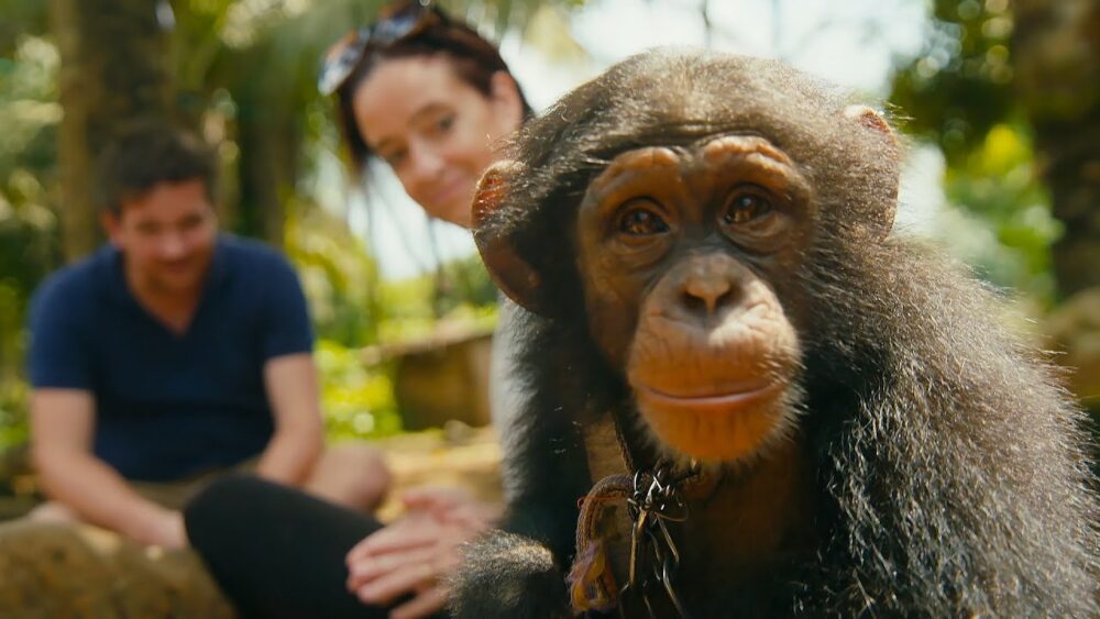 Top 10 Exotic Pets