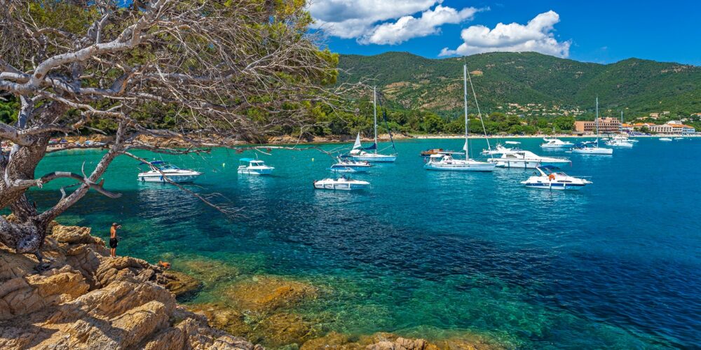 Vno lavandou provence france