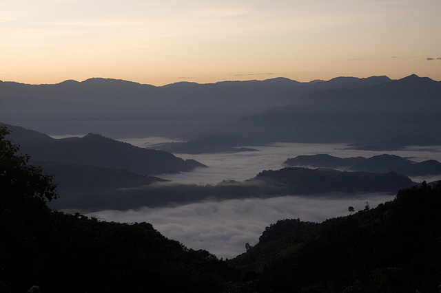 Naga hills