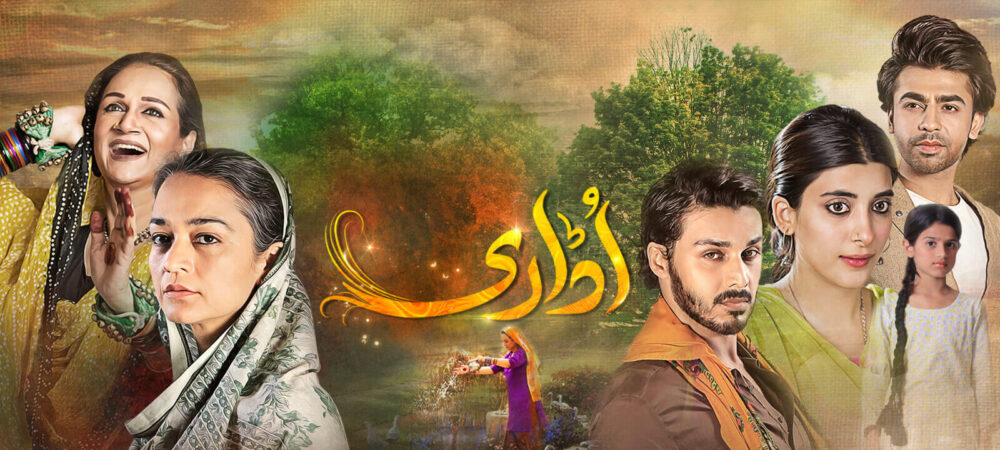 16 Years of HUM TV