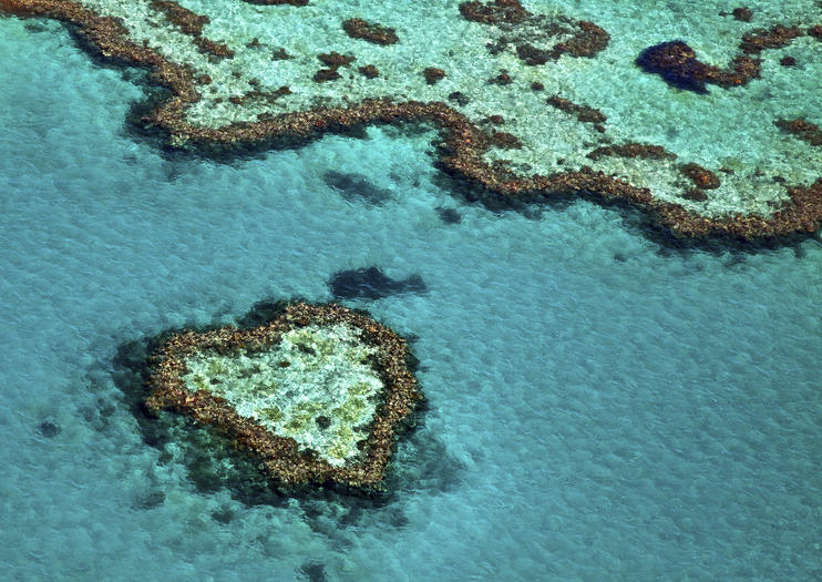 Heart reef