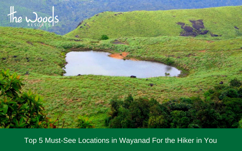 9 Heart-Shaped Destinations: An Astonishing Compilation enough to evoke your senses!