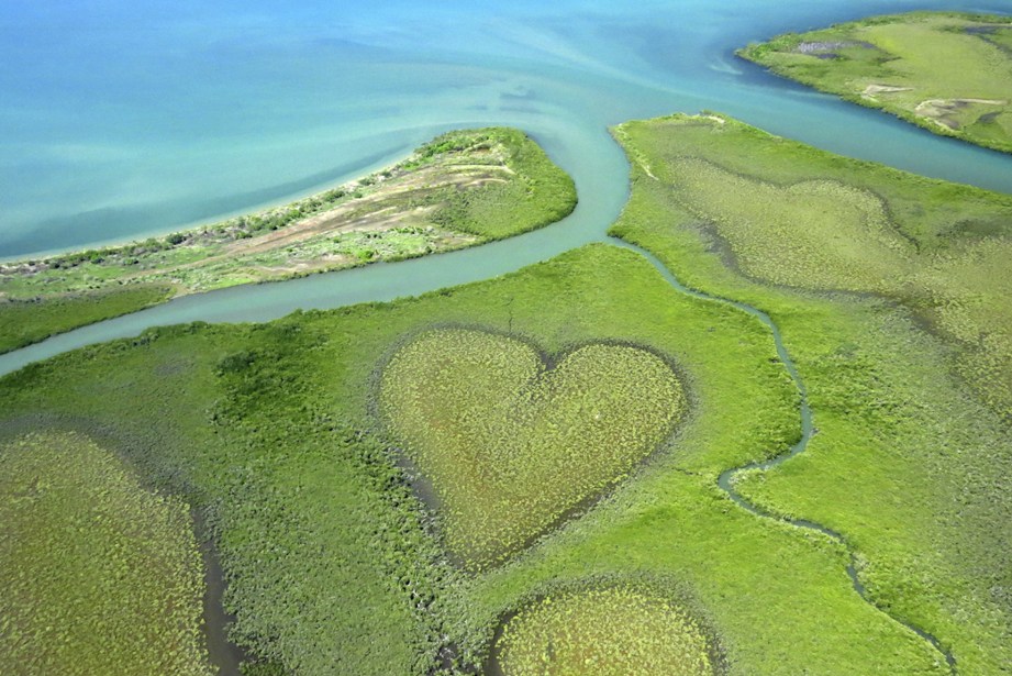 The heart of voh