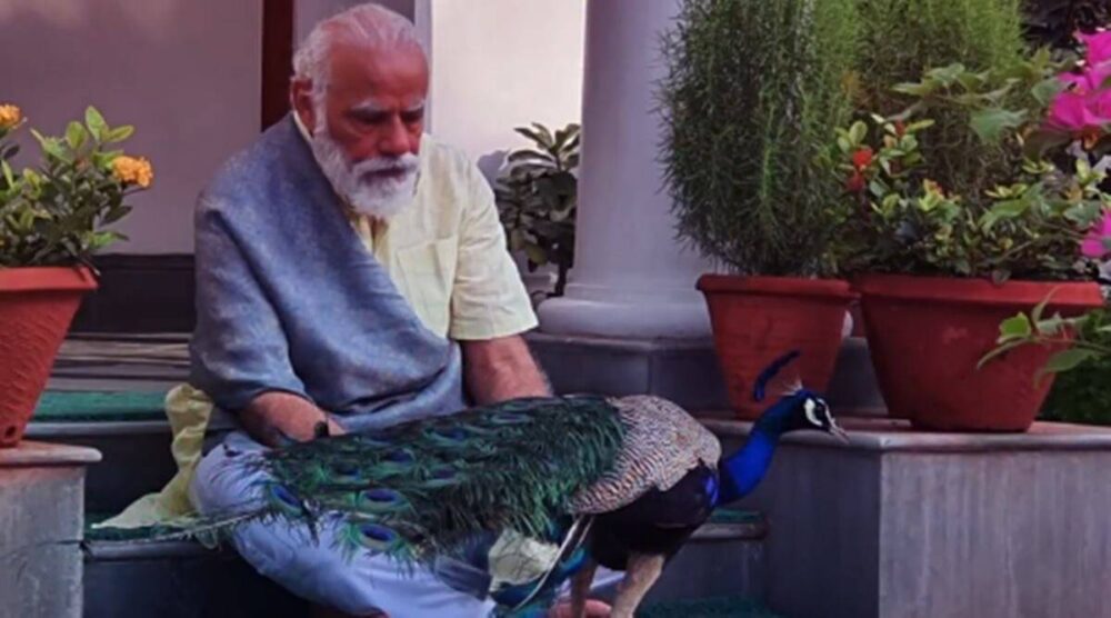 Just 16 PM Modi photos that show the last decade meme material