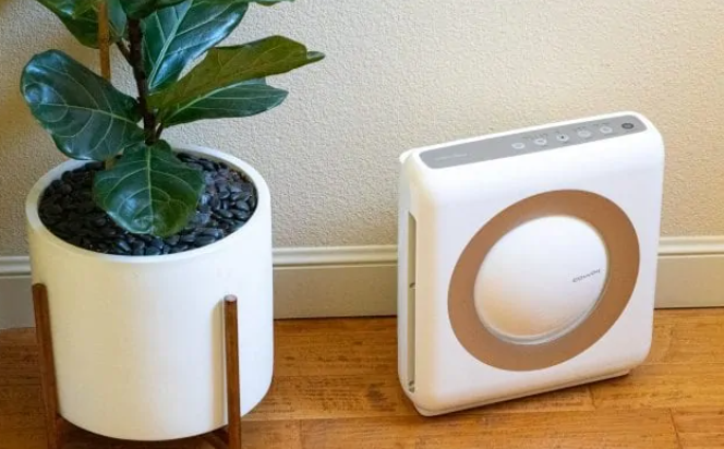 5 Best Air Purifier To Buy