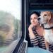 Goa's Pet-Friendly Travel Guide