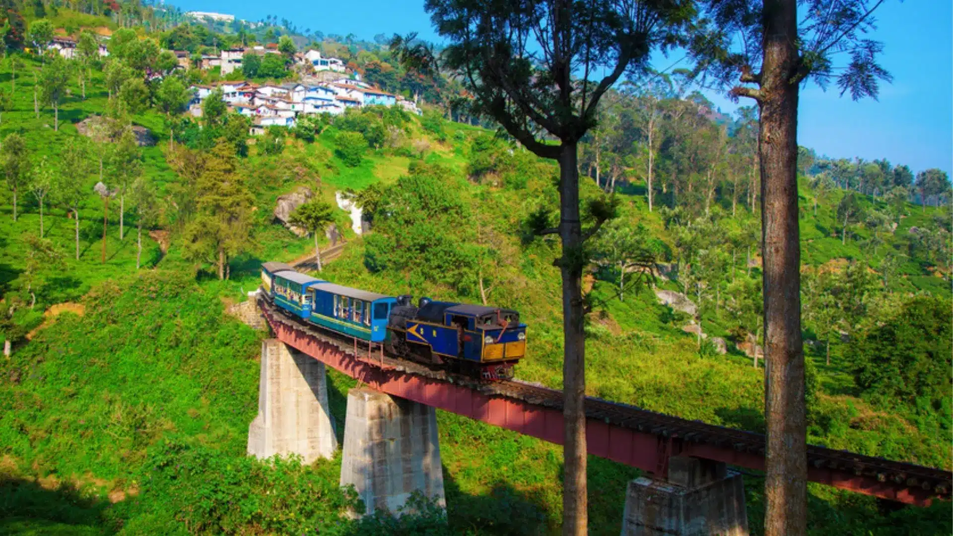 6 Things That Are Must For A Visitor To Do In Ooty!