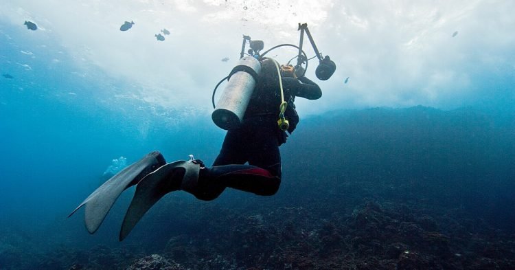Consider These 7 Places Around The Globe If You Are Planning For A Scuba Dive.