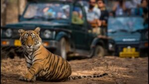 Planning A Trip To Jim Corbett?