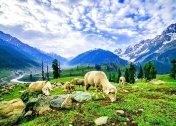 Why is Kashmir Known as "Paradise on Earth"?