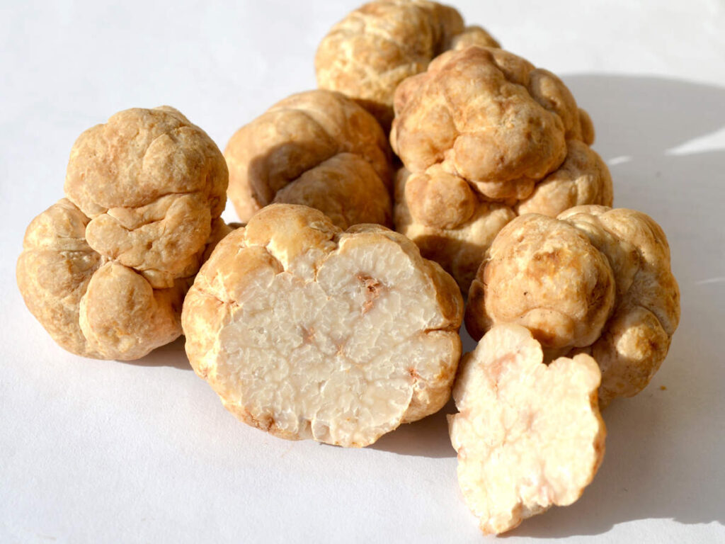 10 Most Expensive Food Items in the World