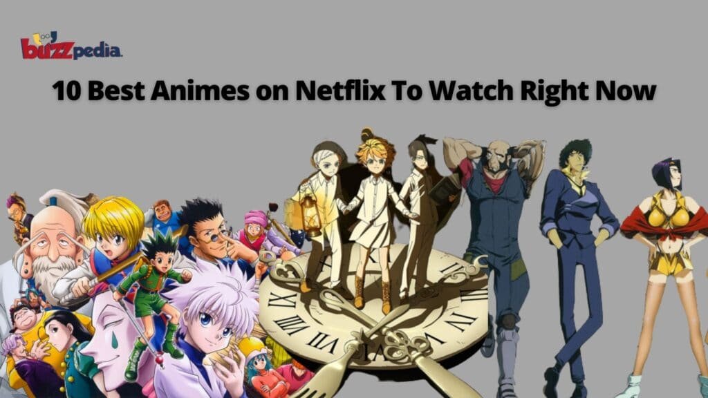 10 Best Animes on Netflix To Watch Right Now
