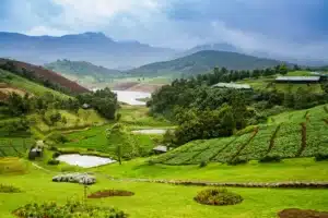 5 Hill Stations Near Chennai for a Peaceful Weekend in 2026