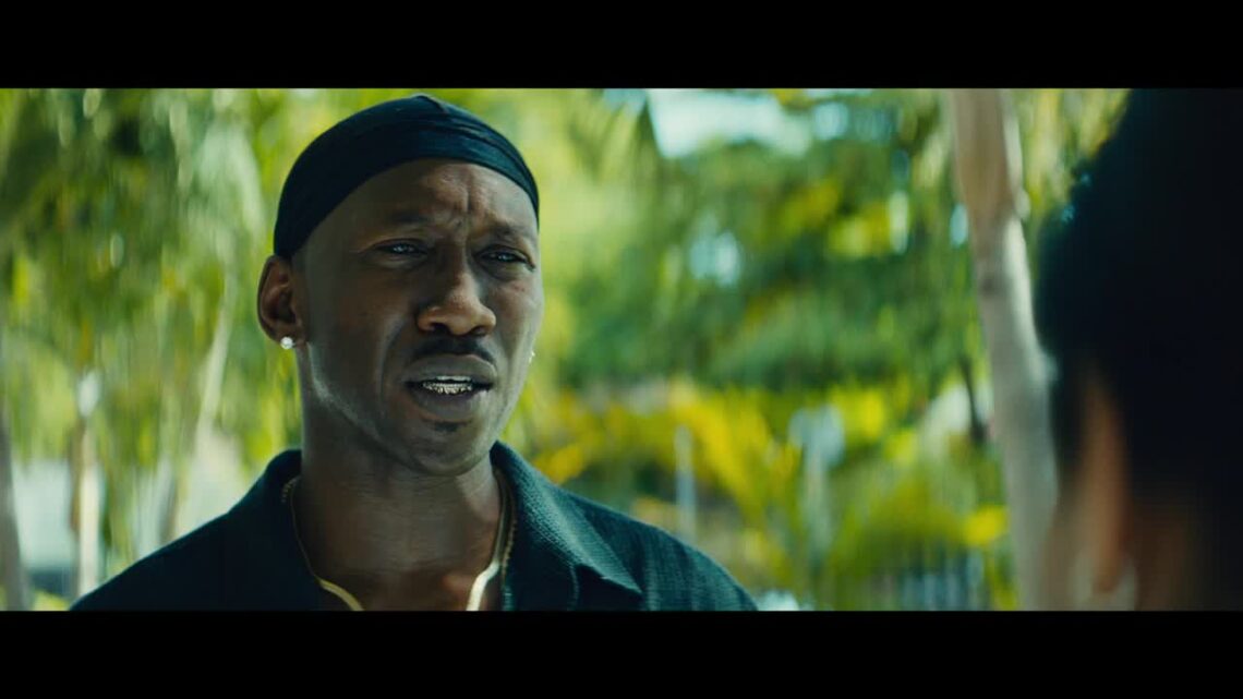 20 Most Remarkable Dialogues From Moonlight — Buzzpedia