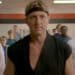 20 Best Johnny Lawrence Quotes