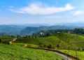 5 Best Hill Stations In South India