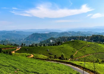 5 Best Hill Stations In South India