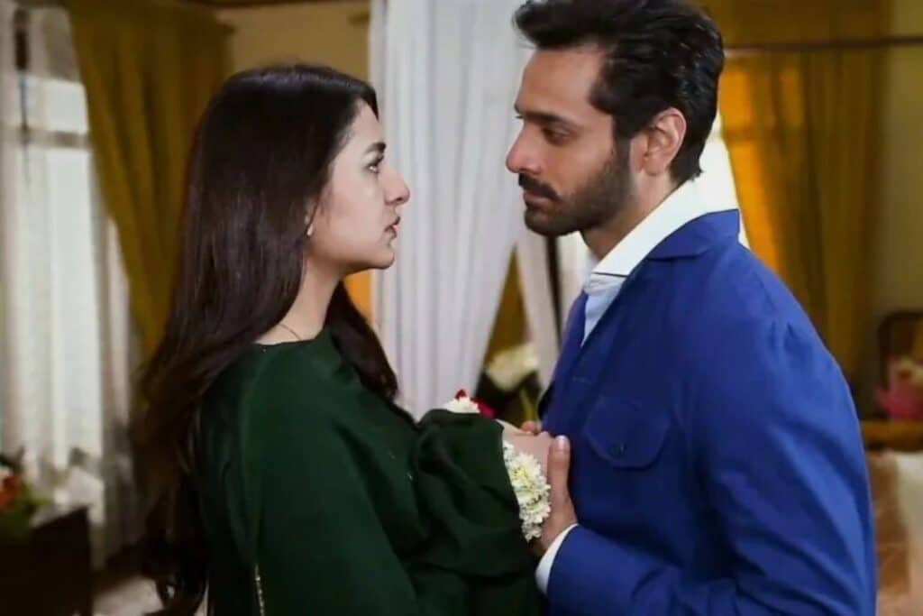 8 Best Pakistani Dramas to Watch in 2024 Tere Bin