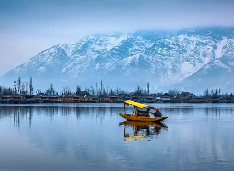 8 Unique Ways To Explore The Ambiance Around Dal Lake