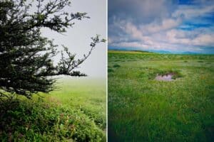11 Best Road Trips From Mumbai for Monsoon Memories (2026)