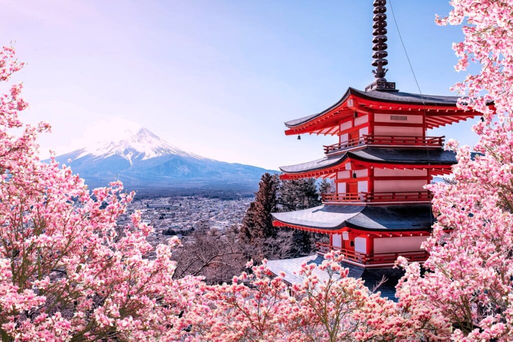 8 Best Things To Do In Japan | More Than Cherry Blossoms