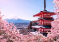 8 Best Things To Do In Japan | More Than Cherry Blossoms