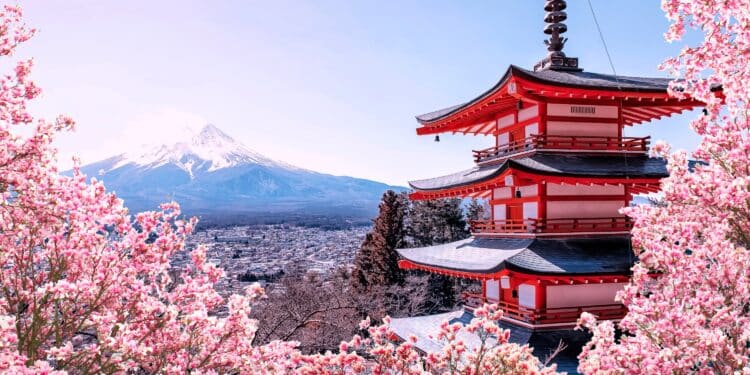8 Best Things To Do In Japan | More Than Cherry Blossoms