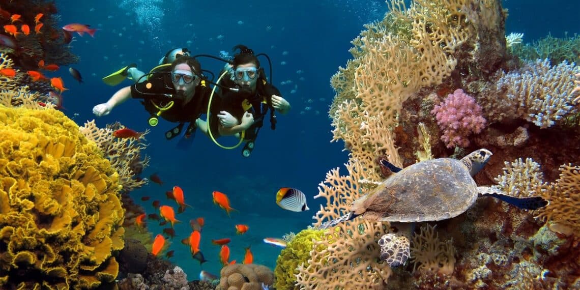 7 Best Places For Scuba Diving Around The World