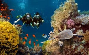 7 Best Places For Scuba Diving Around The World